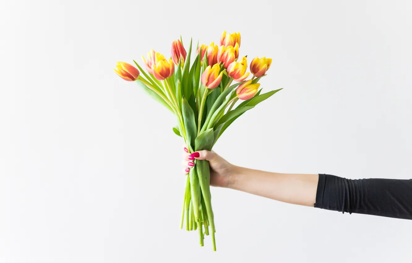 Photo wallpaper flowers, hands, tulips, manicure