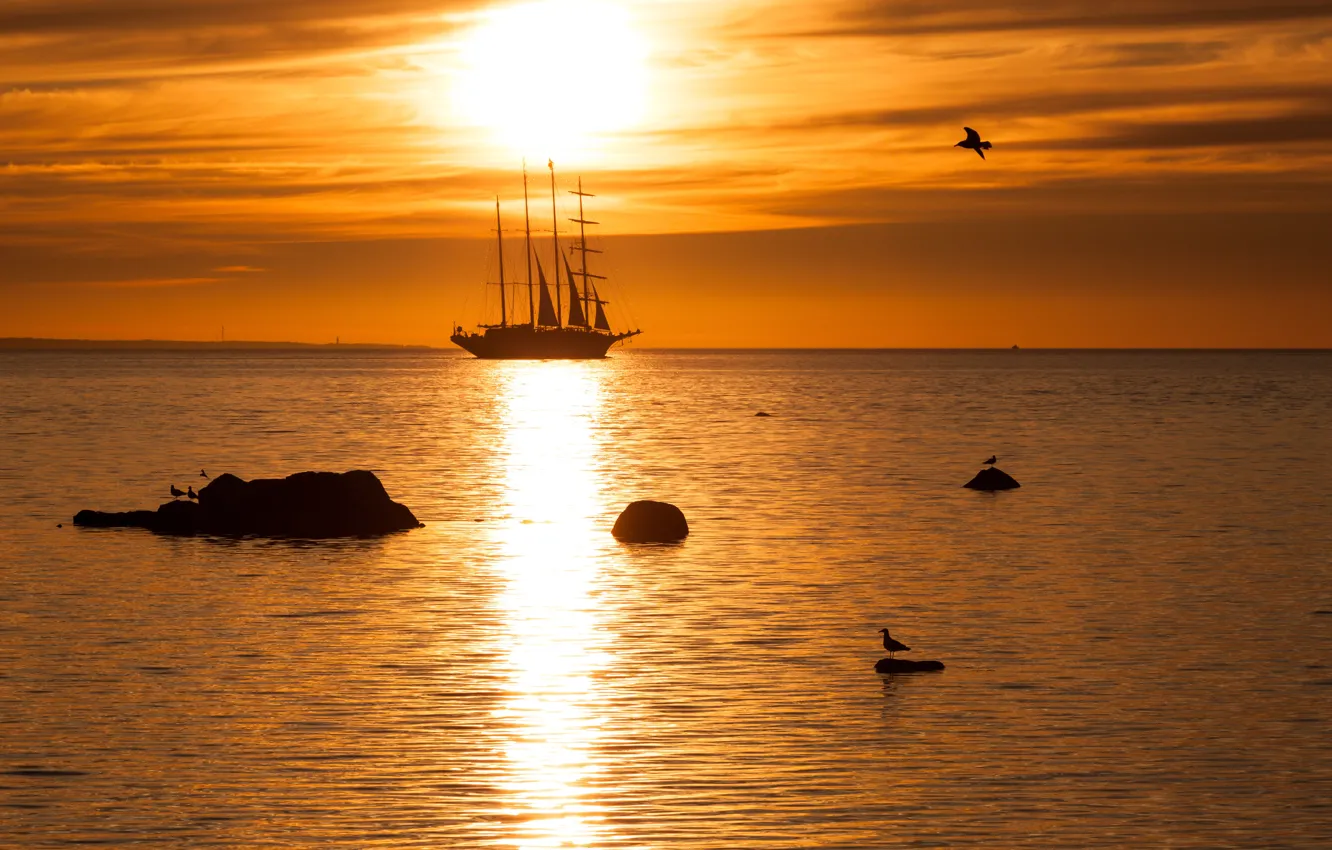 Photo wallpaper sea, sailboat, the evening