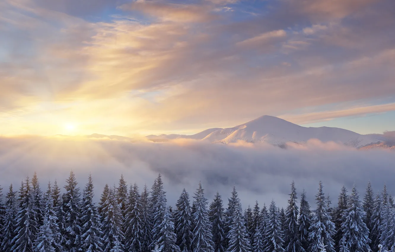 Photo wallpaper winter, forest, the sun, clouds, rays, snow, landscape, mountains