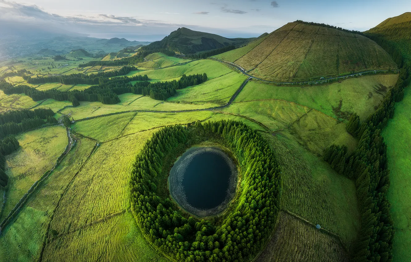 Photo wallpaper green, pond, wonderful, drone, aerial view