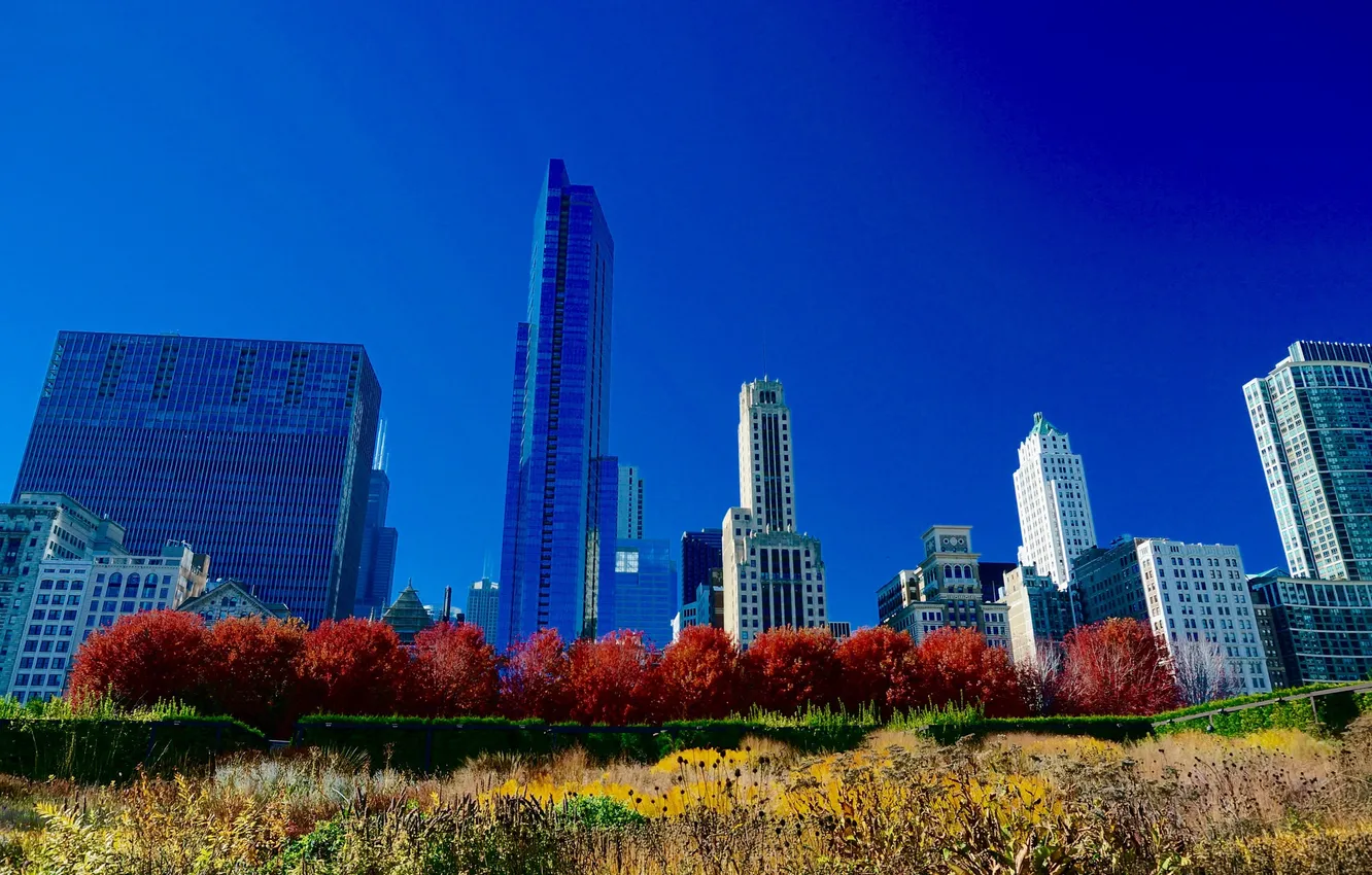 Photo wallpaper autumn, the sky, trees, home, Chicago, USA