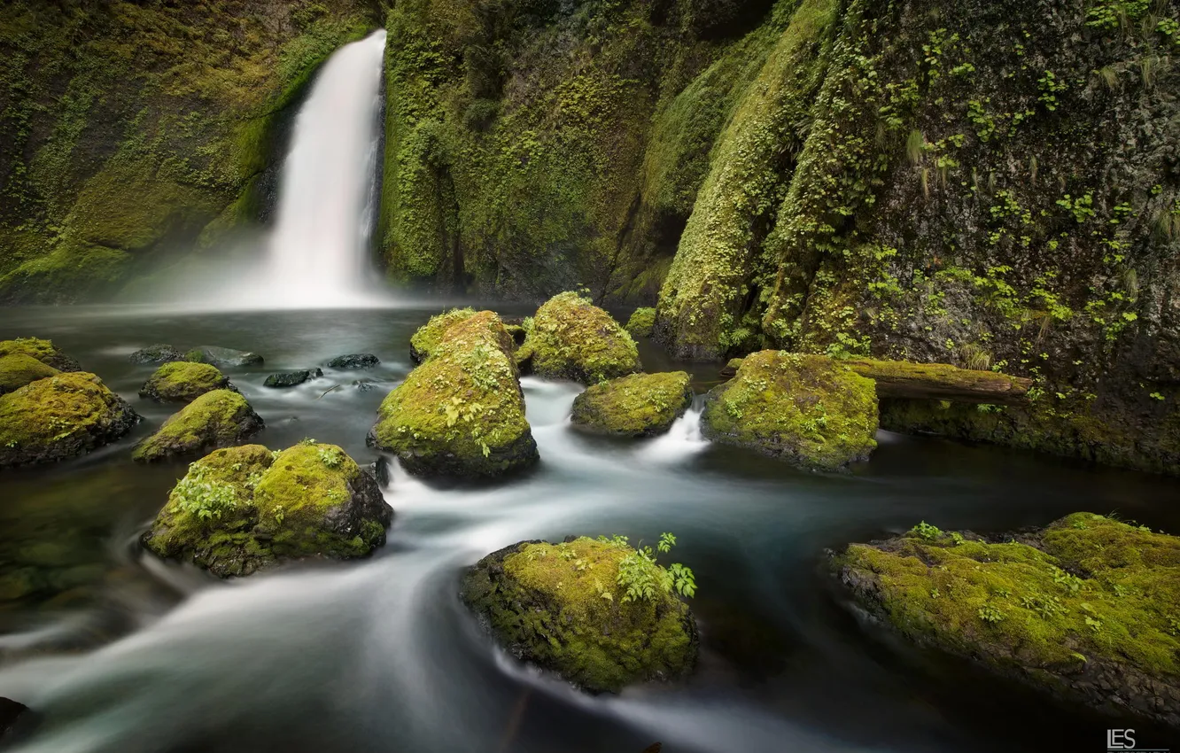Photo wallpaper forest, nature, river, stones, waterfall