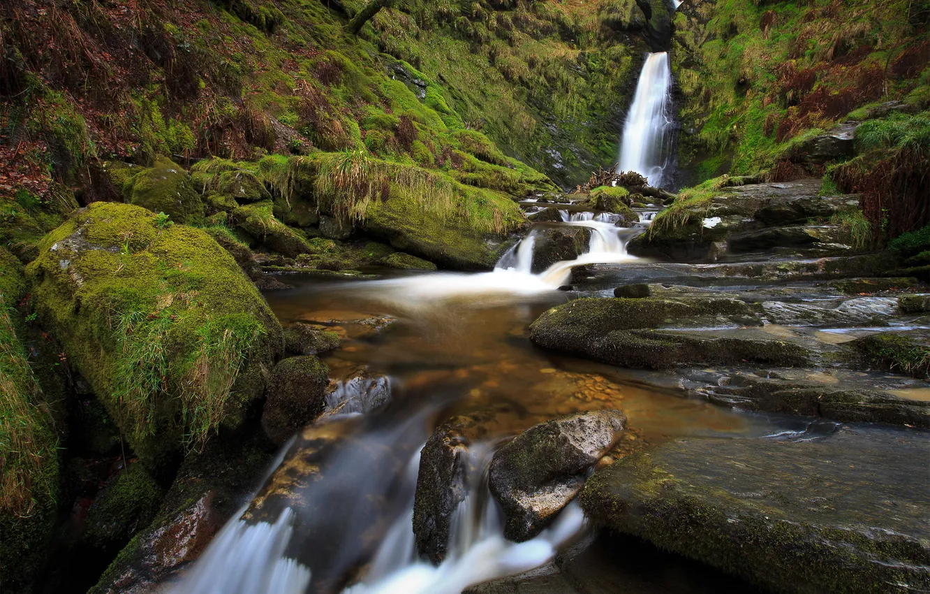 Photo wallpaper water, nature, river, stones, waterfall, national Park