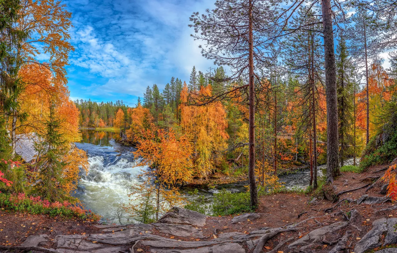 Photo wallpaper autumn, forest, river, rocks