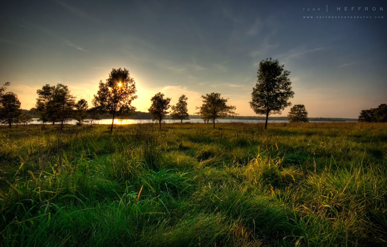 Photo wallpaper grass, the sun, trees, sunset, river