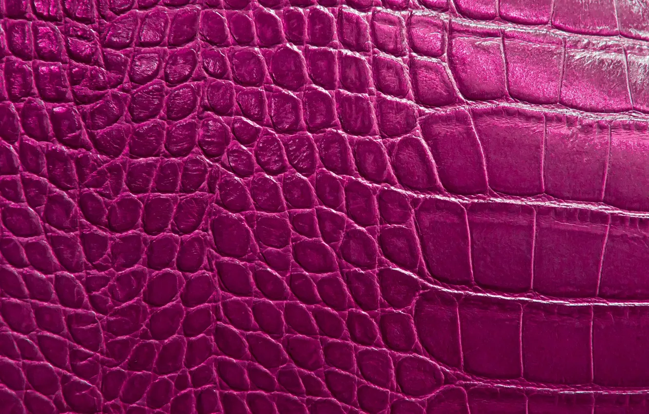 Photo wallpaper reptile, scales, texture alligator skin