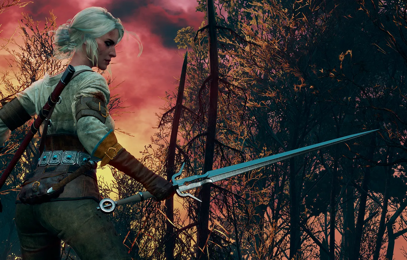Photo wallpaper The Witcher, CRIS, The Witcher 3:Wild Hunt, Burning skies