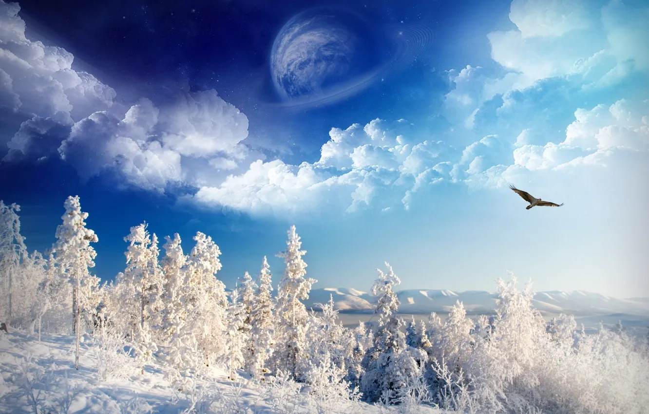 Photo wallpaper winter, the sky, snow, trees, eagle, planet