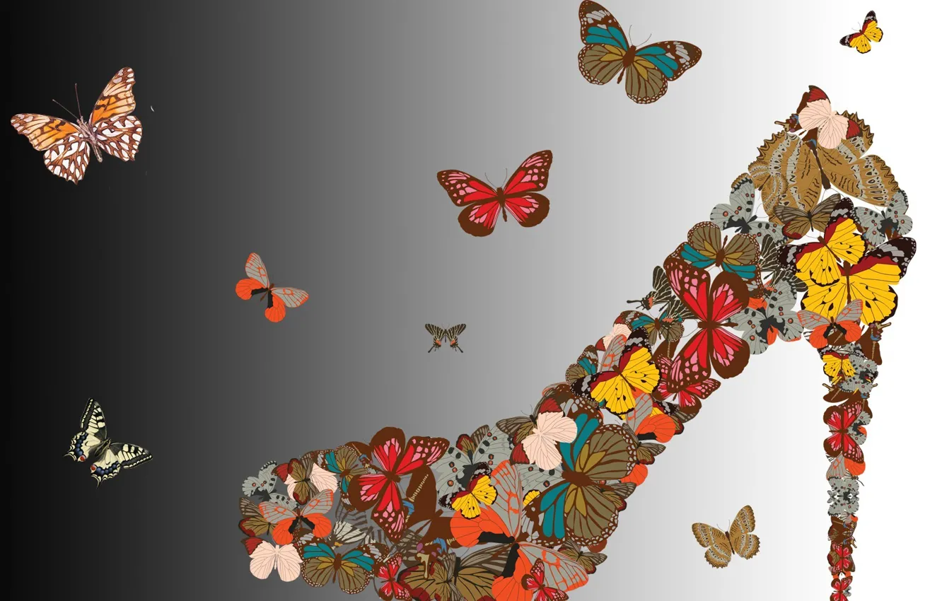Photo wallpaper butterfly, wings, heel, Shoe, abuth