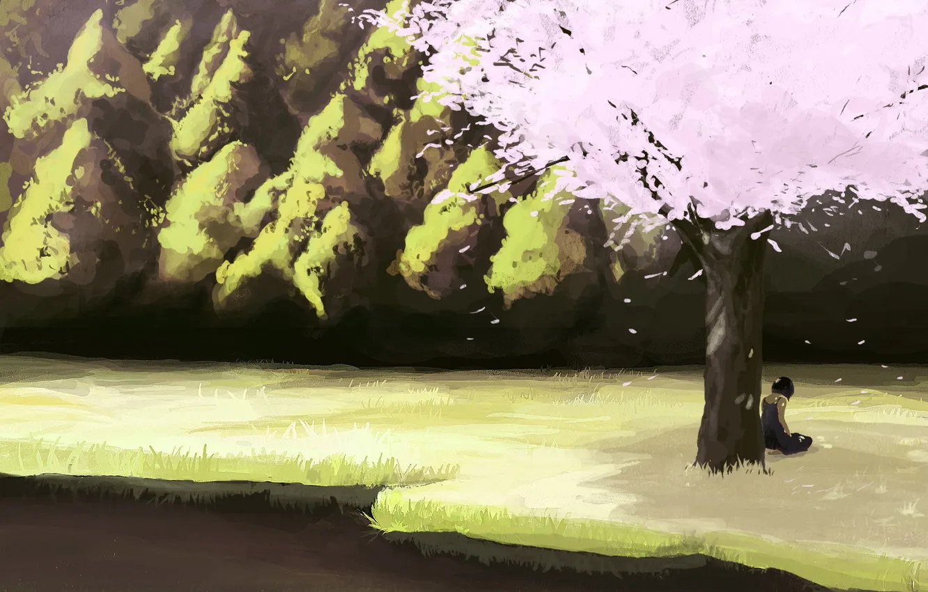 Photo wallpaper girl, river, tree, shore, Sakura