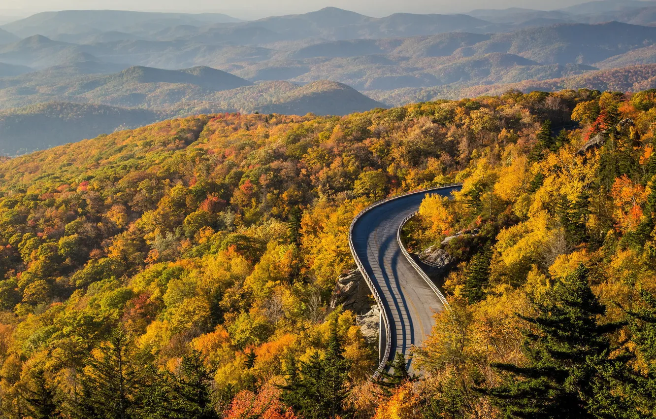 Photo wallpaper road, autumn, forest, trees, nature