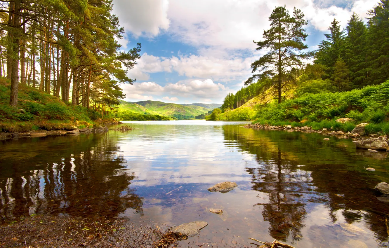 Photo wallpaper forest, the sky, nature, river, shore