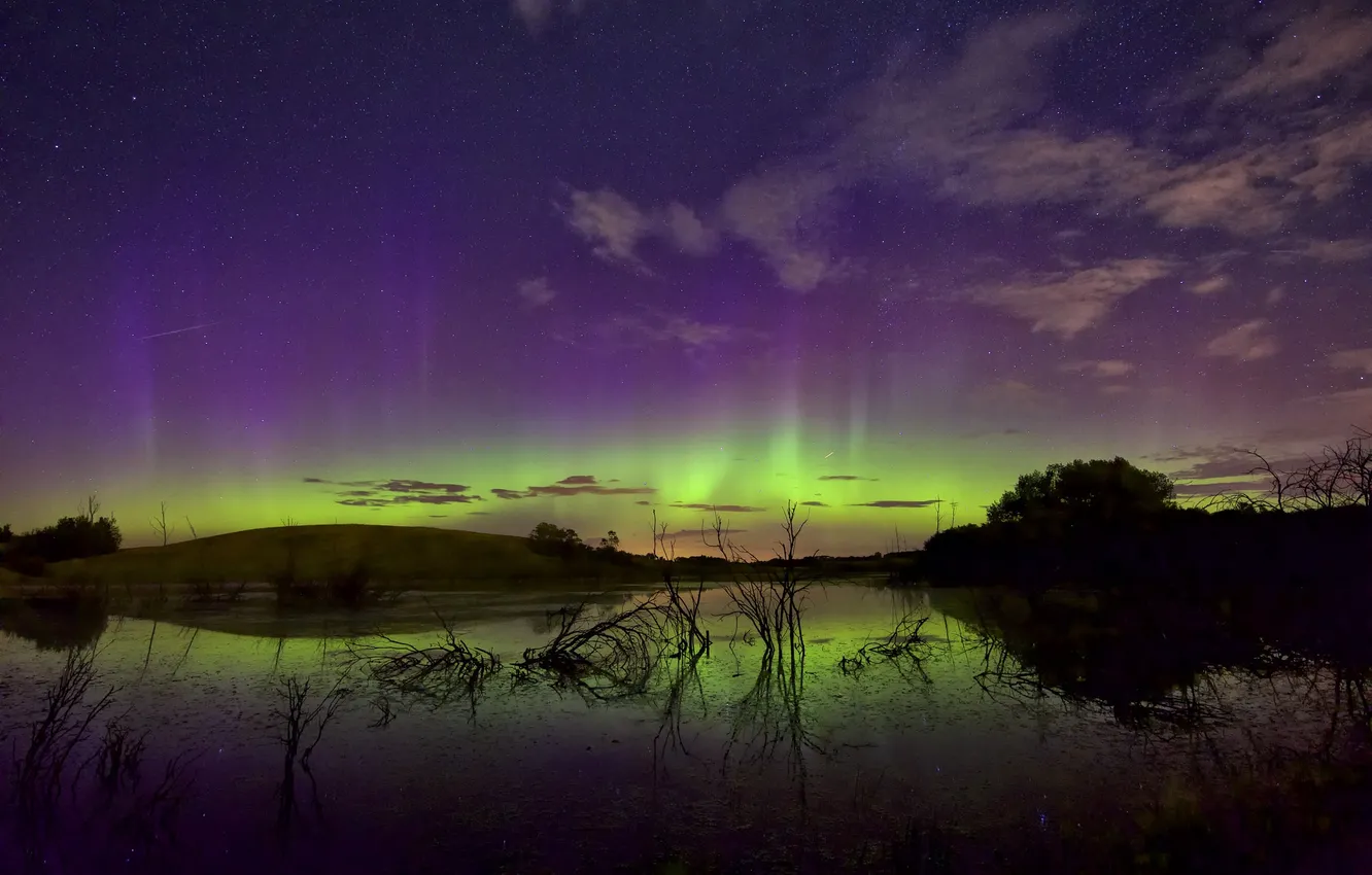 Photo wallpaper the sky, stars, trees, landscape, Northern lights