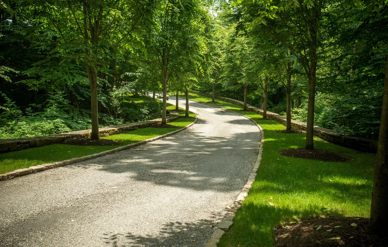Photo wallpaper road, greens, grass, trees, Park, USA, alley, Conyers Farm
