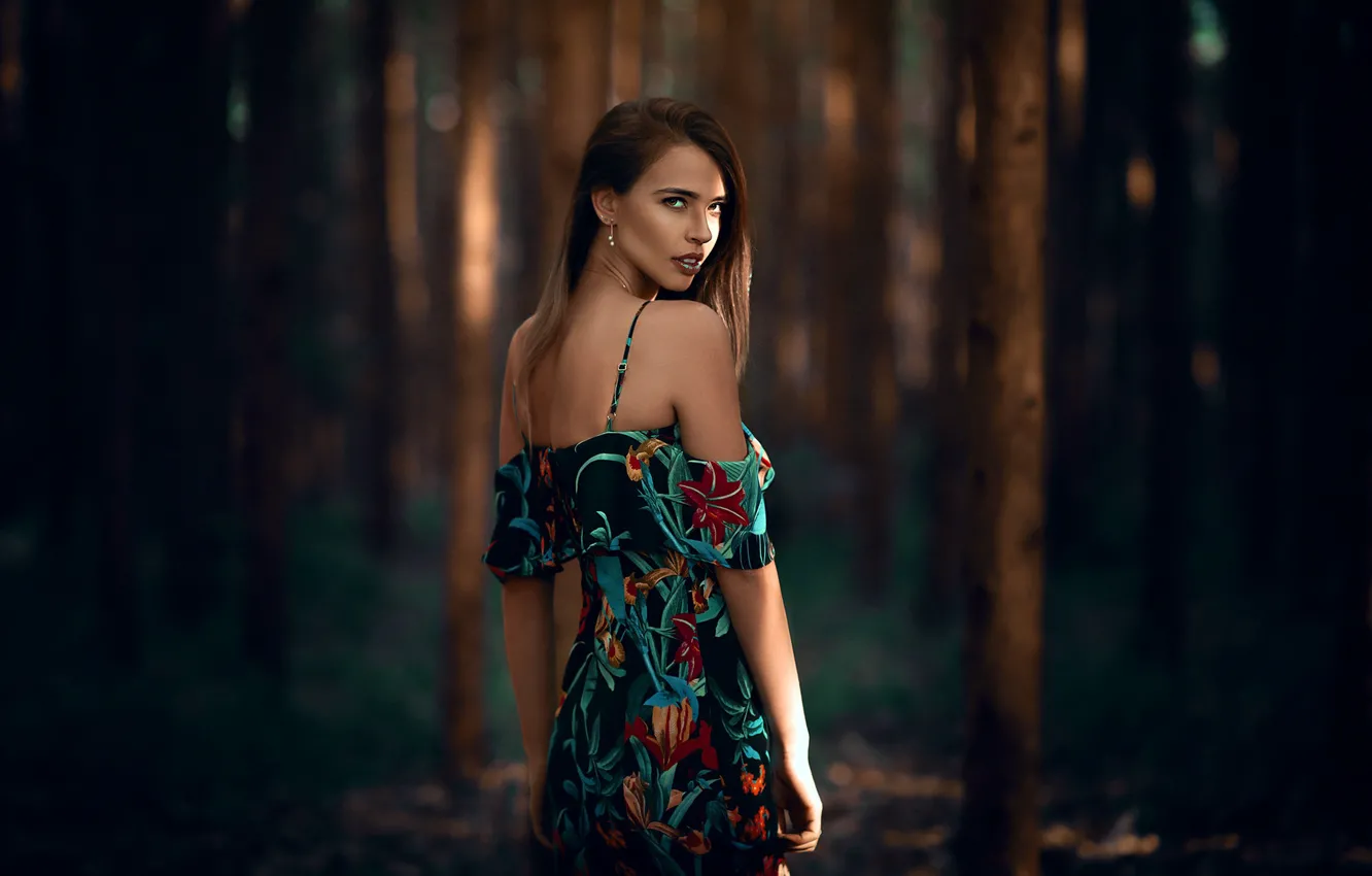 Photo wallpaper forest, look, trees, pose, model, portrait, makeup, figure