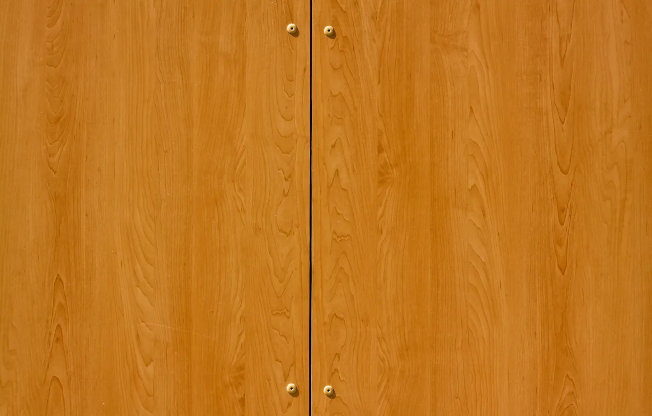 Photo wallpaper pattern, polished, closet doors