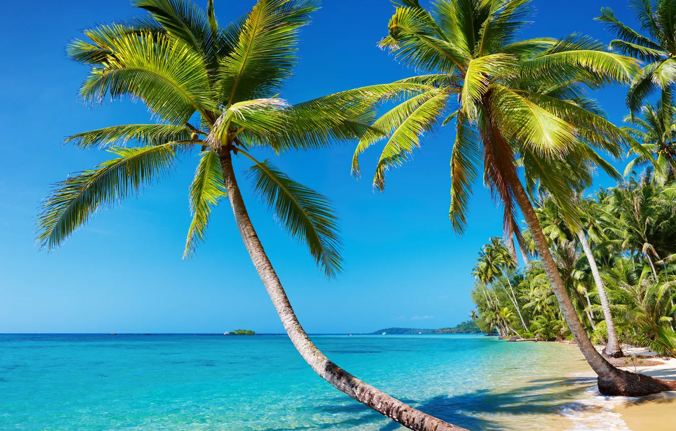Photo wallpaper sea, beach, summer, landscape, tropics, palm trees, stay, island