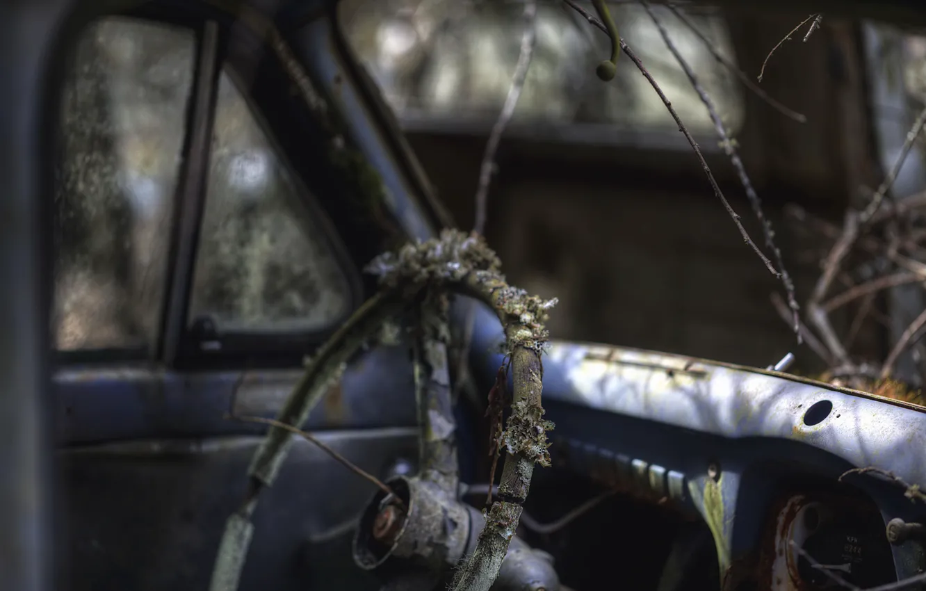 Photo wallpaper machine, the wheel, scrap