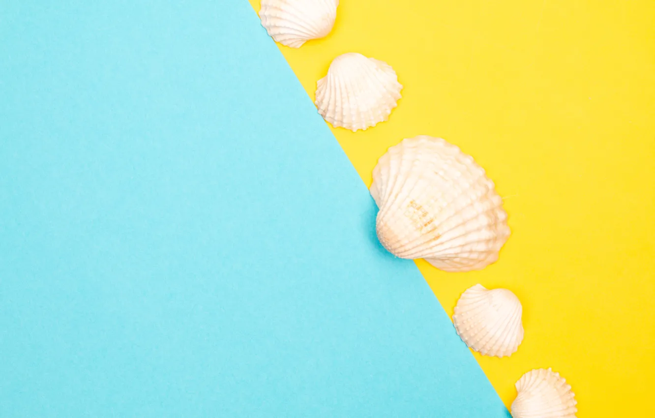 Photo wallpaper yellow, background, blue, color, texture, contrast, shell, items