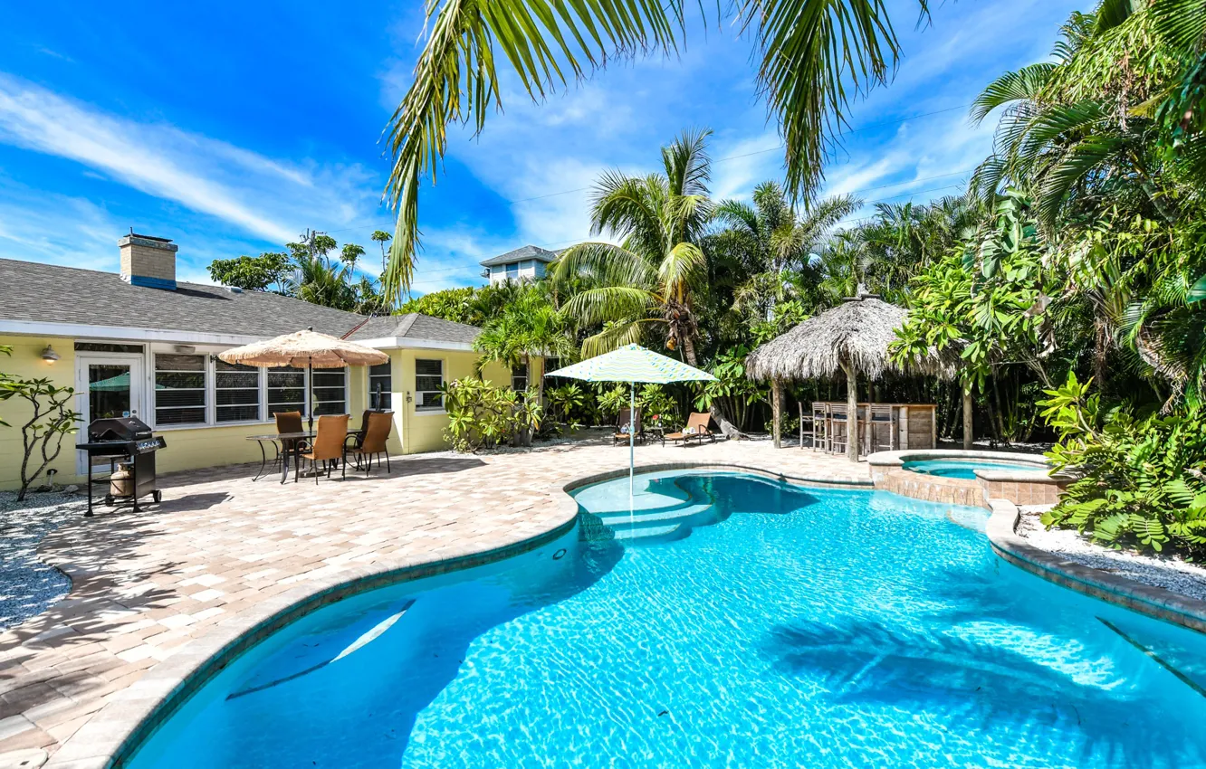Photo wallpaper tropics, palm trees, home, pool, terrace, grill