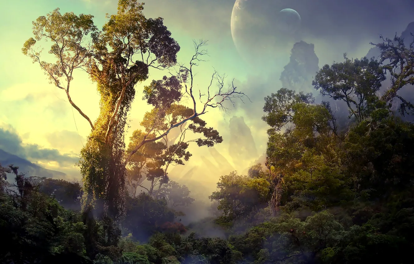 Photo wallpaper forest, the sky, trees, mountains, branches, planet