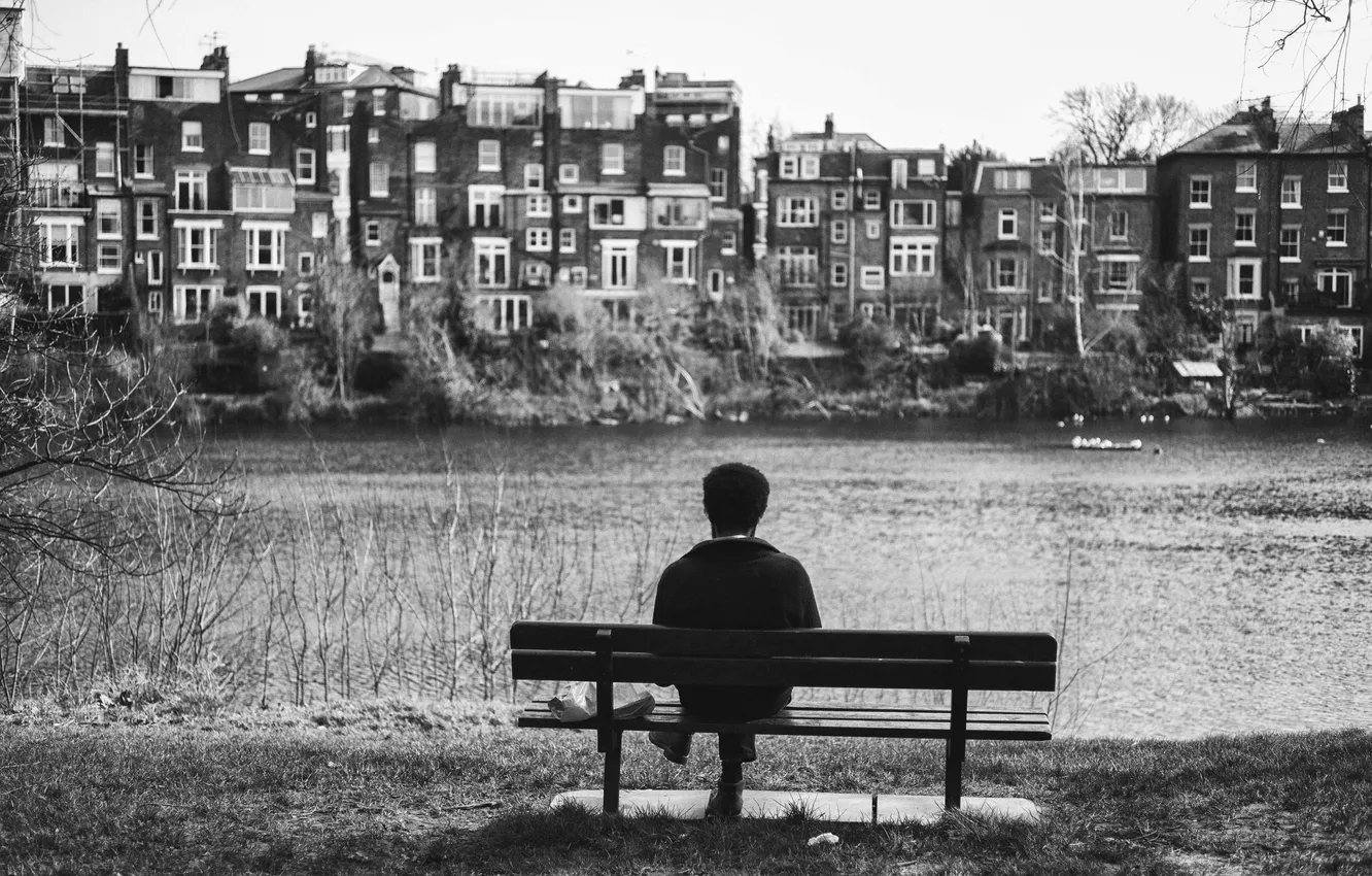 Photo wallpaper bench, river, bird, home, channel, male