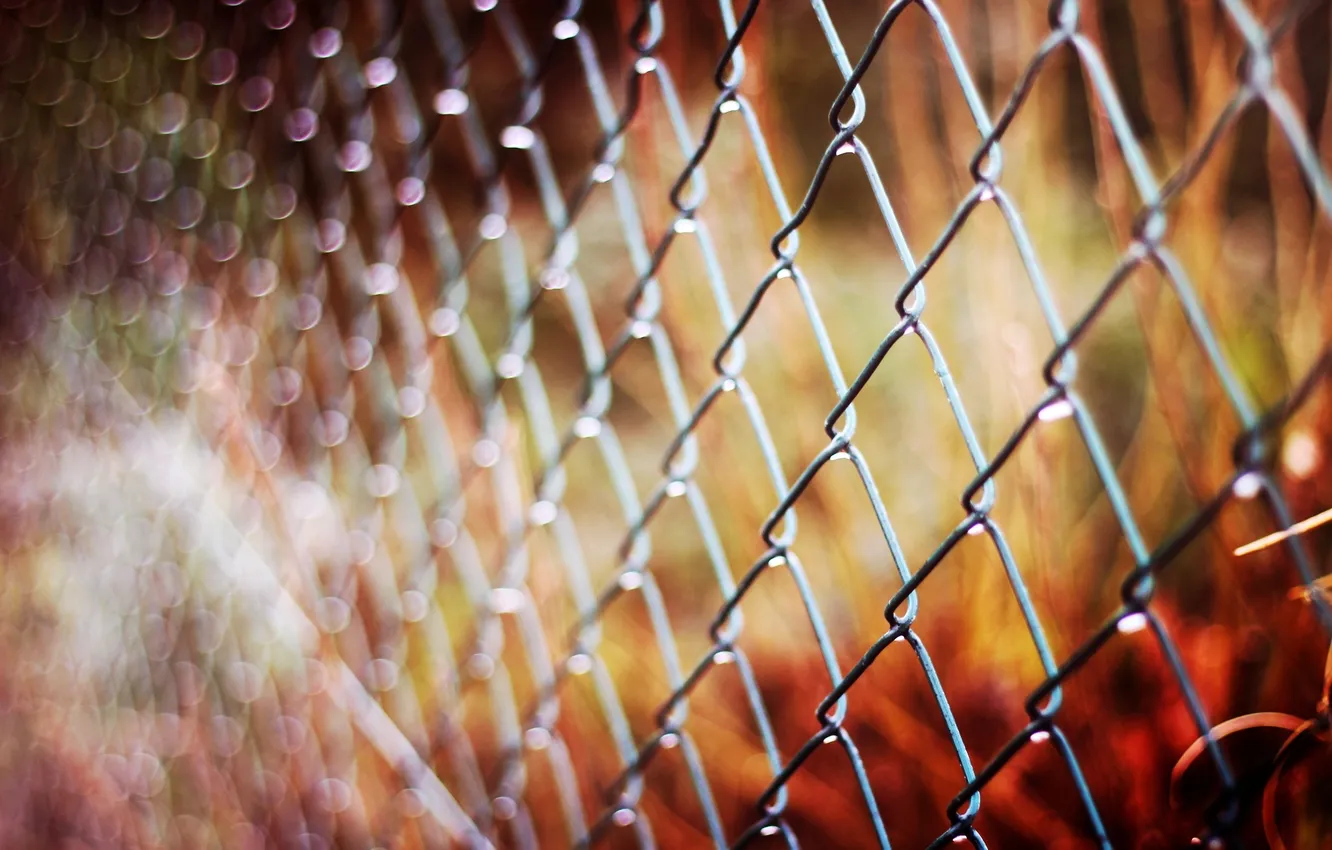 Photo wallpaper autumn, macro, mesh, the fence, fence, blur, metal, bokeh