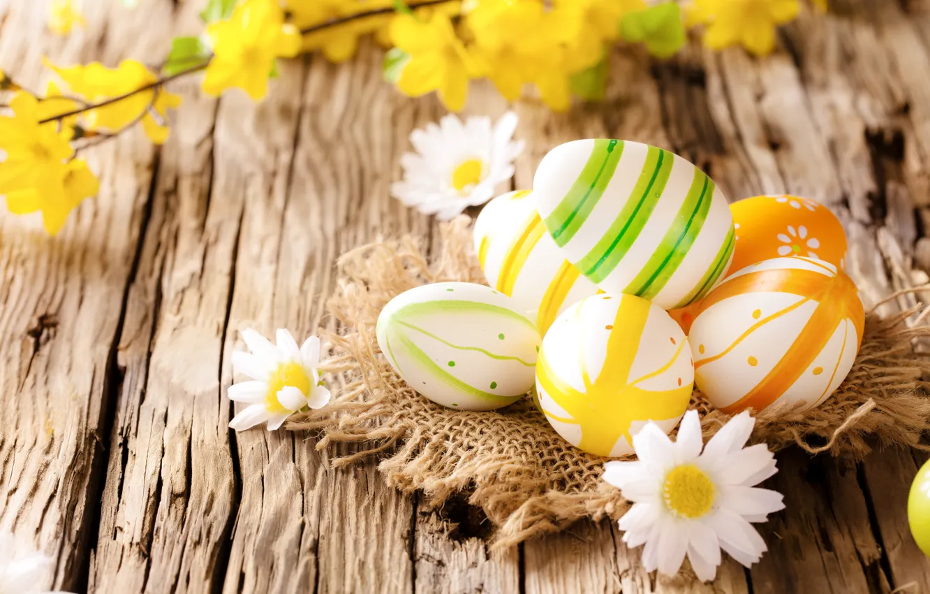 Photo wallpaper chamomile, eggs, Easter, wood, flowers, eggs, easter, camomile