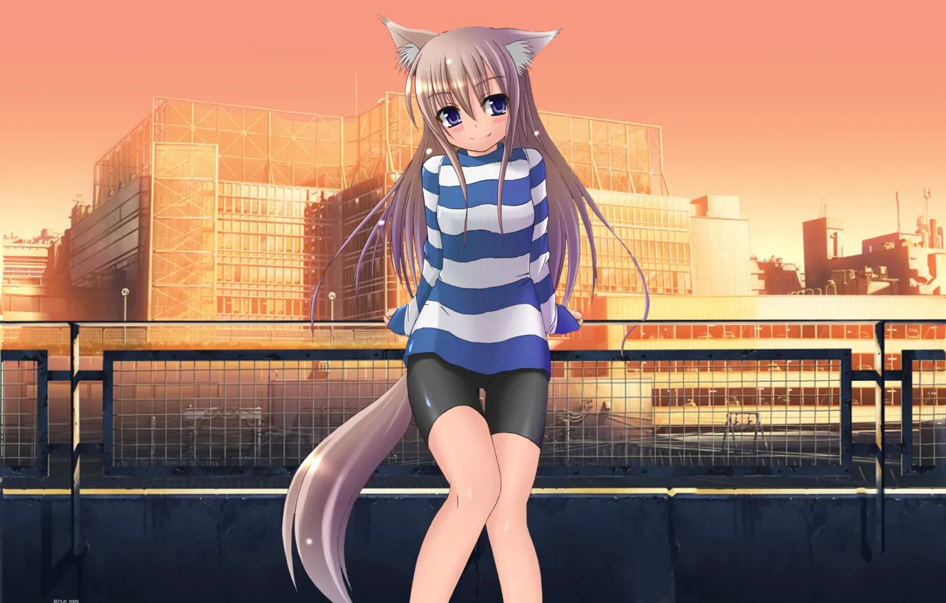 Photo wallpaper The city, Legs, Ears, Ponytail, Fox