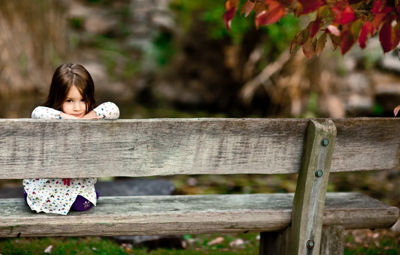 Photo wallpaper forest, look, bench, children, smile, Park, tree, mood