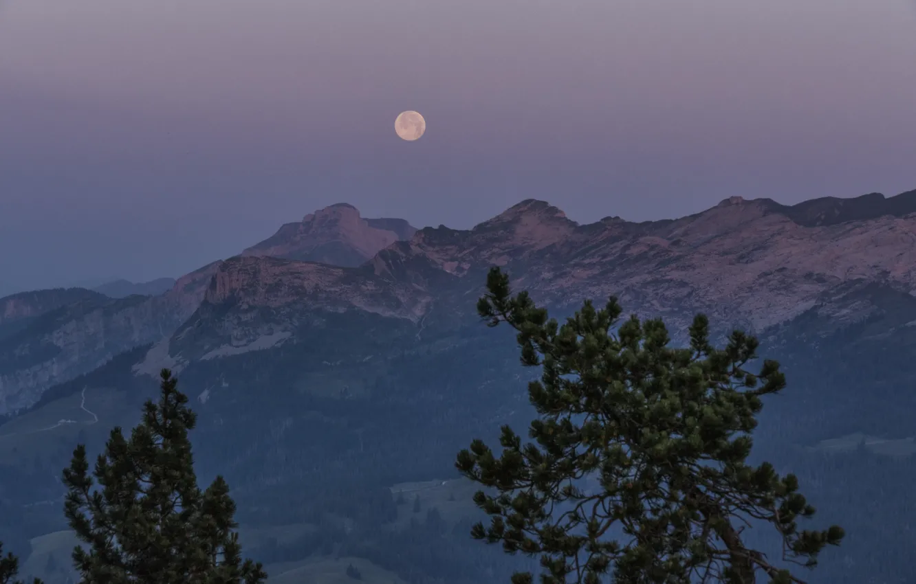 Photo wallpaper the sky, trees, mountains, nature, rocks, the moon, Switzerland, twilight