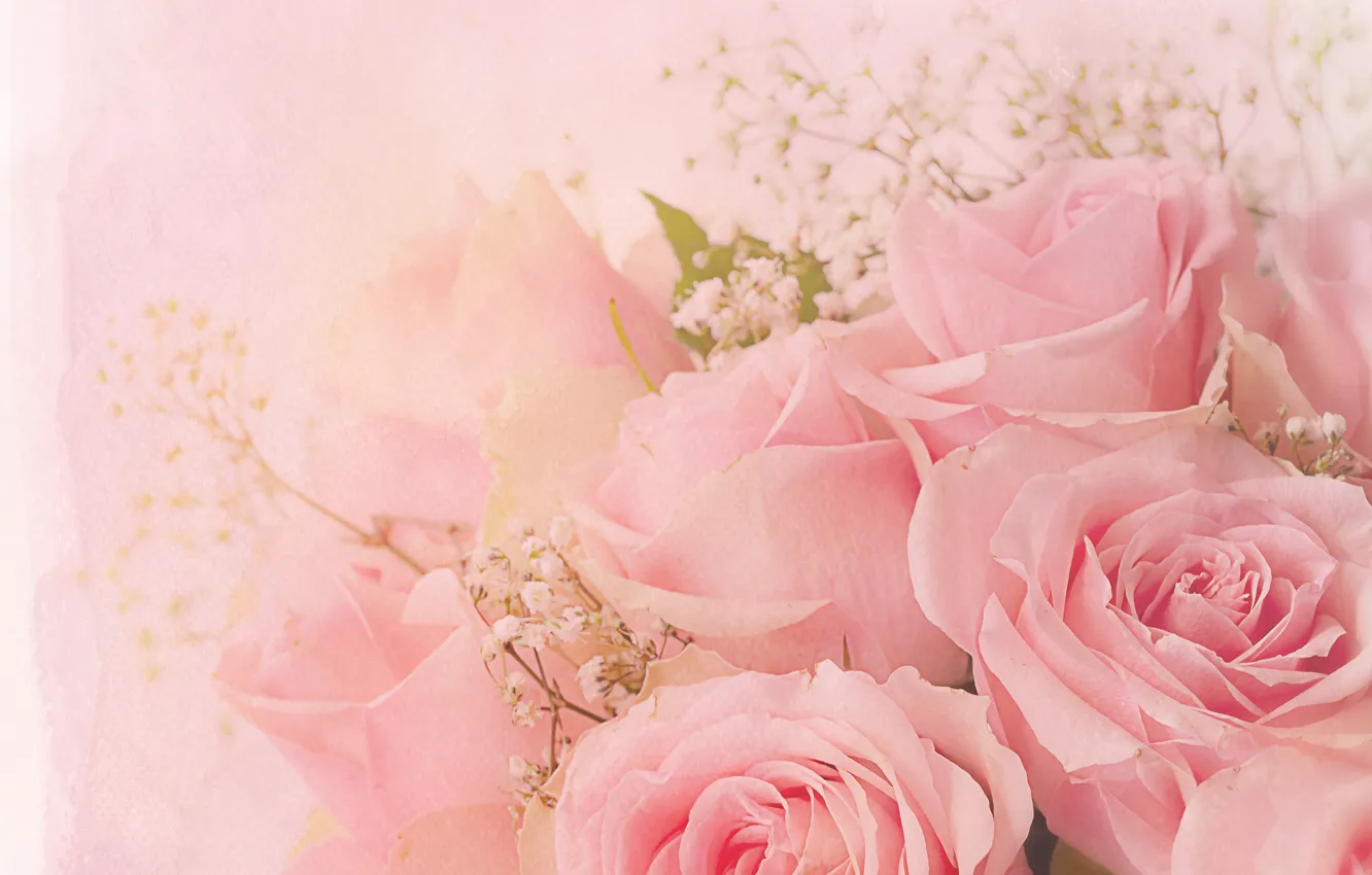 Photo wallpaper flowers, background, roses, treatment, bouquet, pink, buds, pink background