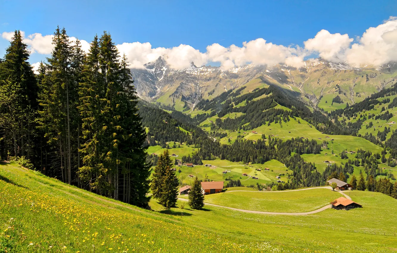 Photo wallpaper trees, mountains, field, Switzerland, valley, houses, meadows, Oberland