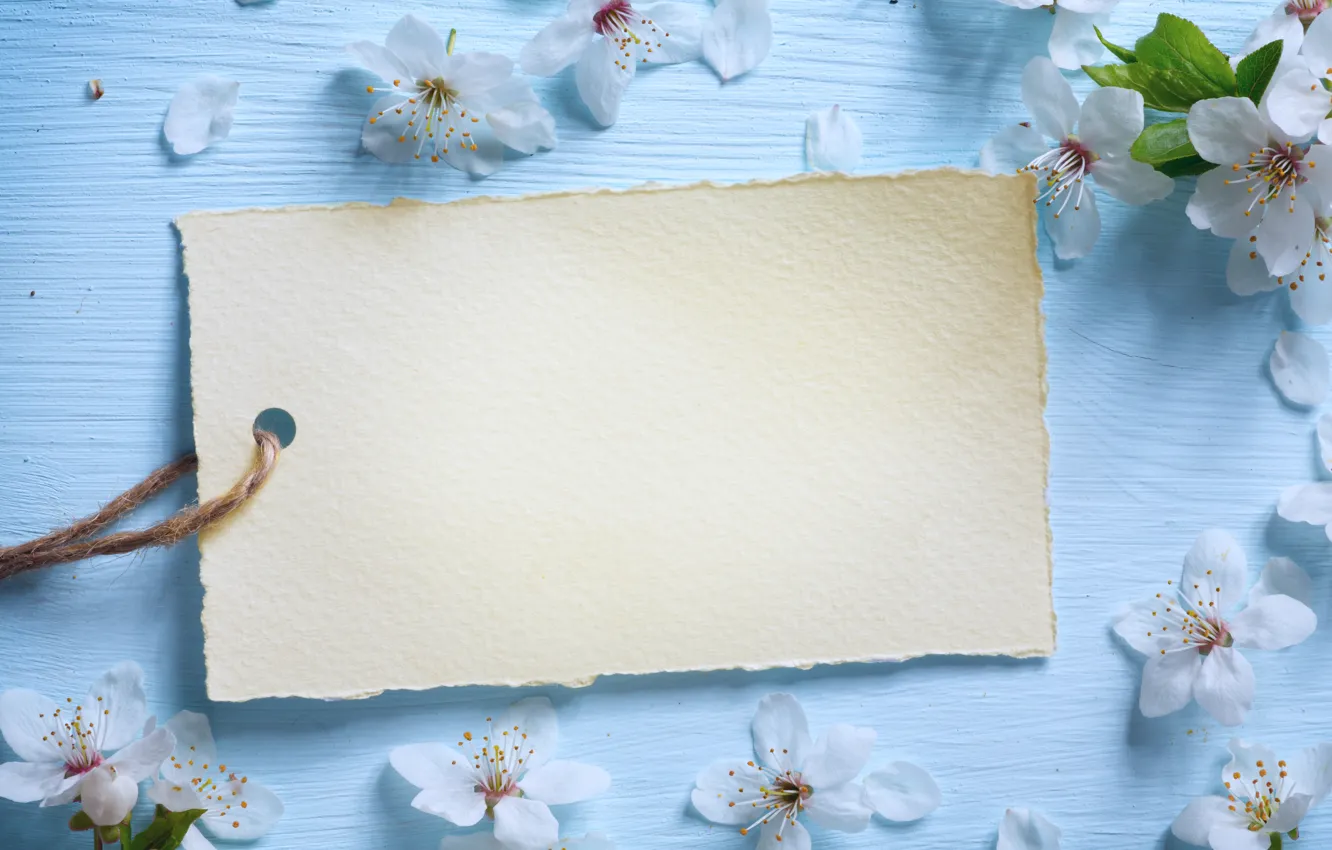 Photo wallpaper flowers, spring, Apple, wood, blue, blossom, flowers, spring