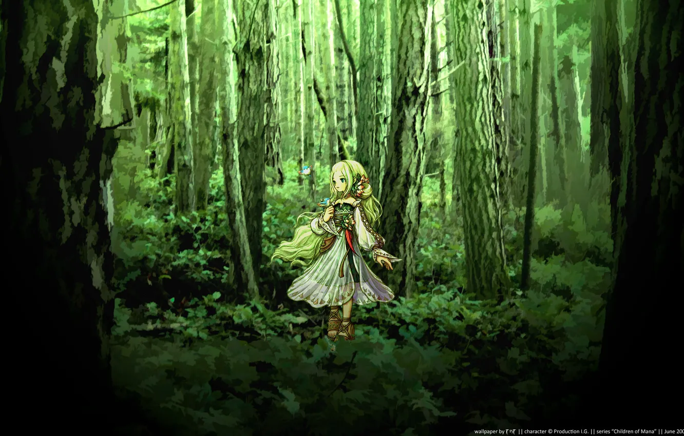 Photo wallpaper forest, green, beautiful, anime, the girls