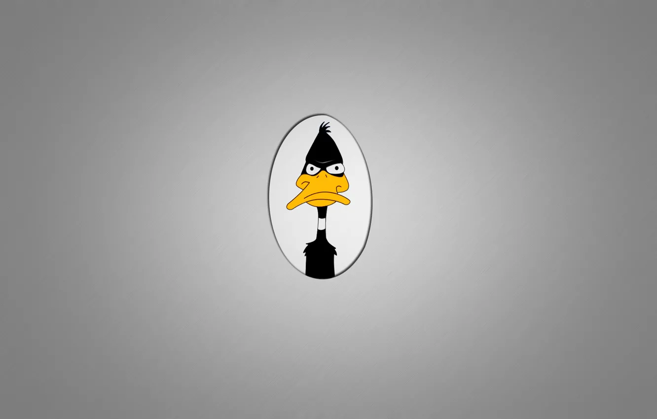 Photo wallpaper minimalism, duck, Daffy Duck, Daffy Duck, Looney Tunes, dark grey background, unhappy face