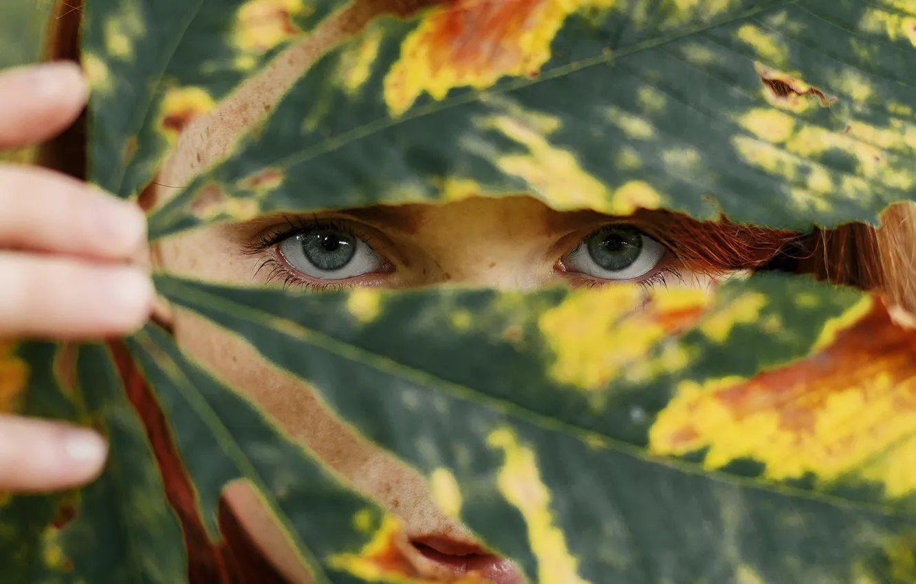 Photo wallpaper leaves, girl, freckles, red, Alexander Grankin