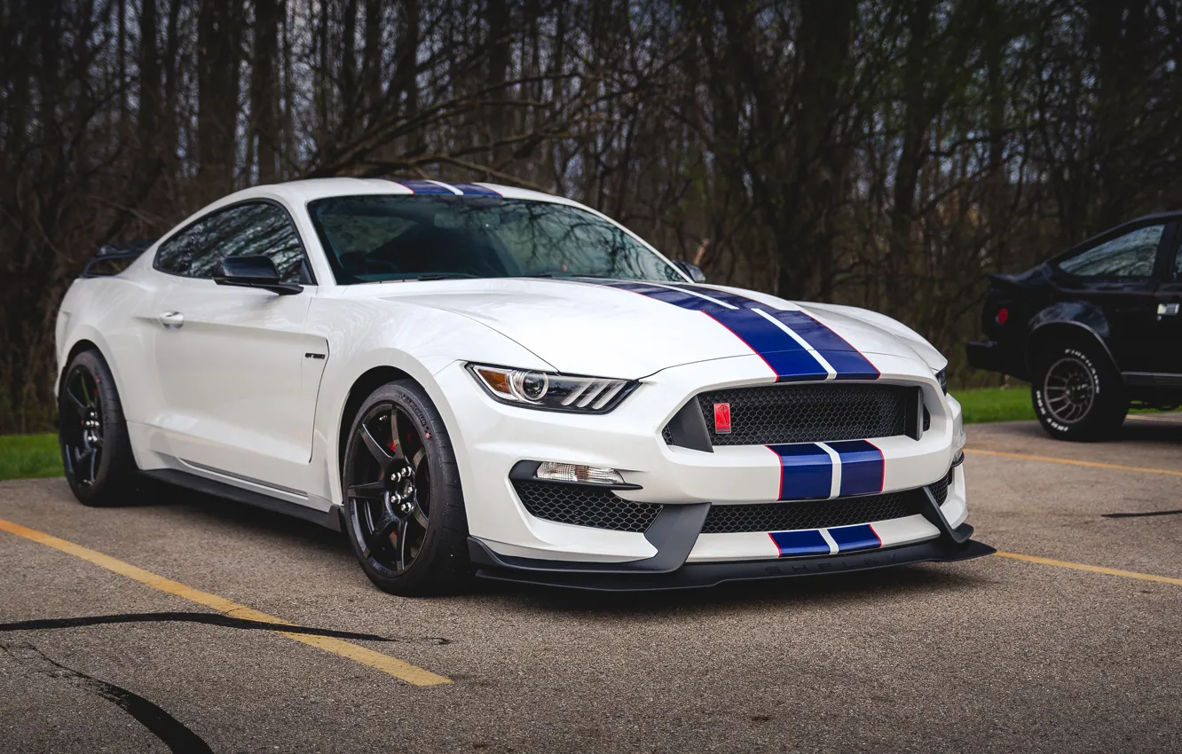 Photo wallpaper Mustang, Ford, Shelby, GT350, Shelby, Ford Mustang, Ford Mustang Shelby GT350