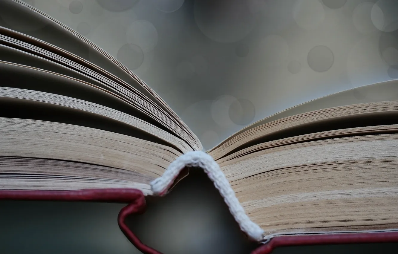 Photo wallpaper background, book, page