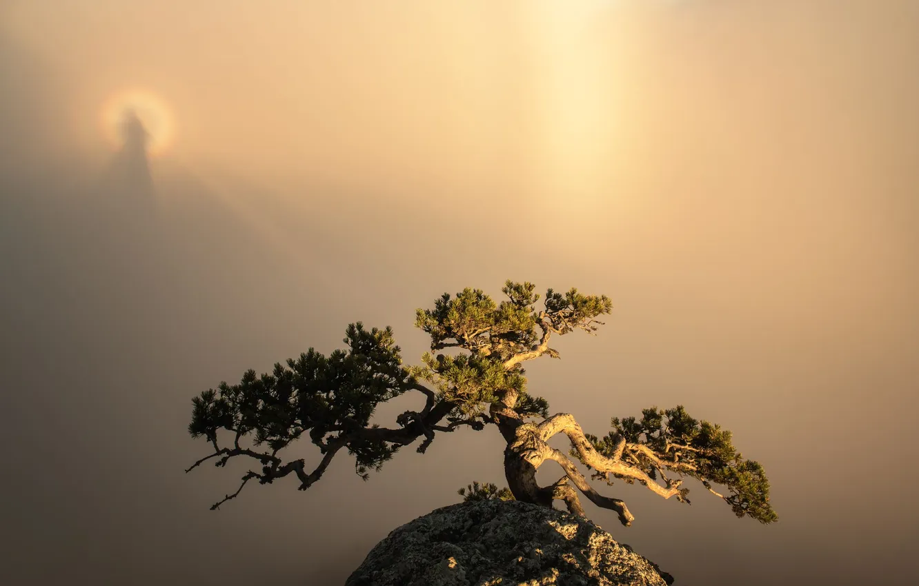 Photo wallpaper Crimea, Igor Abroskin, The Brocken Ghost