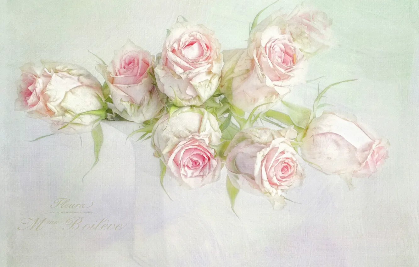 Photo wallpaper flowers, the inscription, graphics, roses, bouquet, art, vase, pink