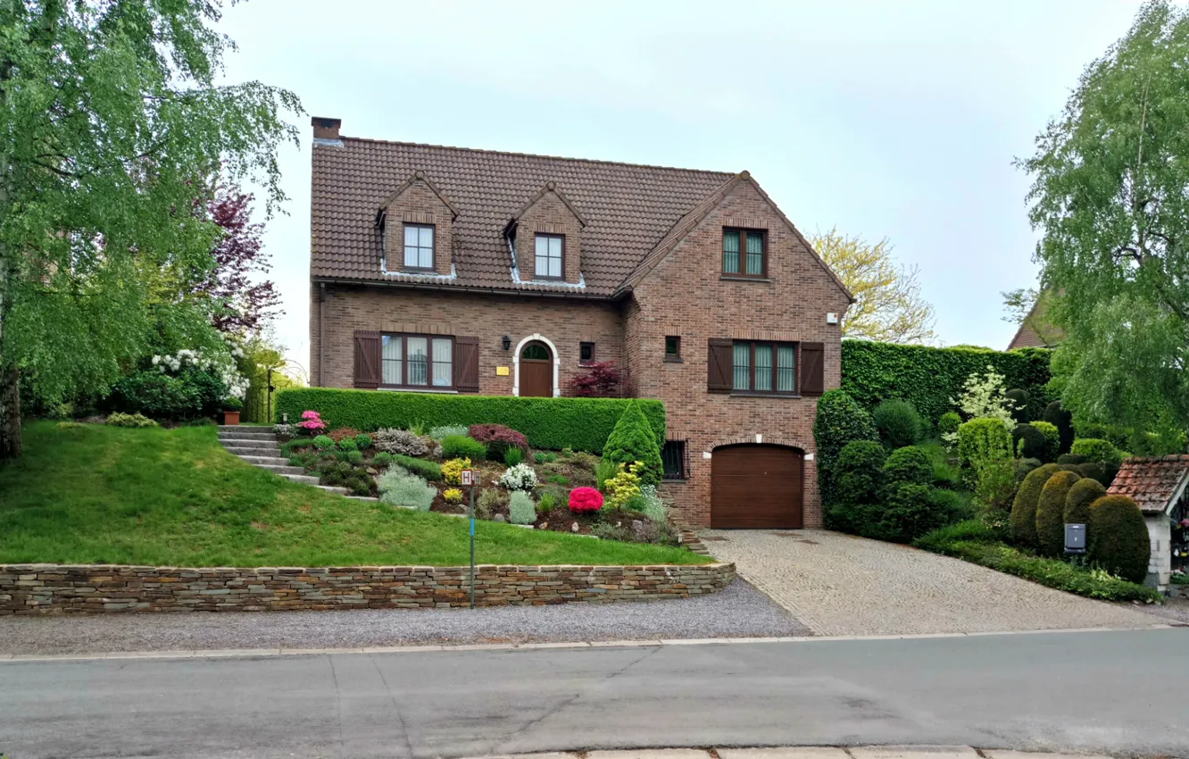 Photo wallpaper city, colors, colorful, red, house, rose, colourful, trees