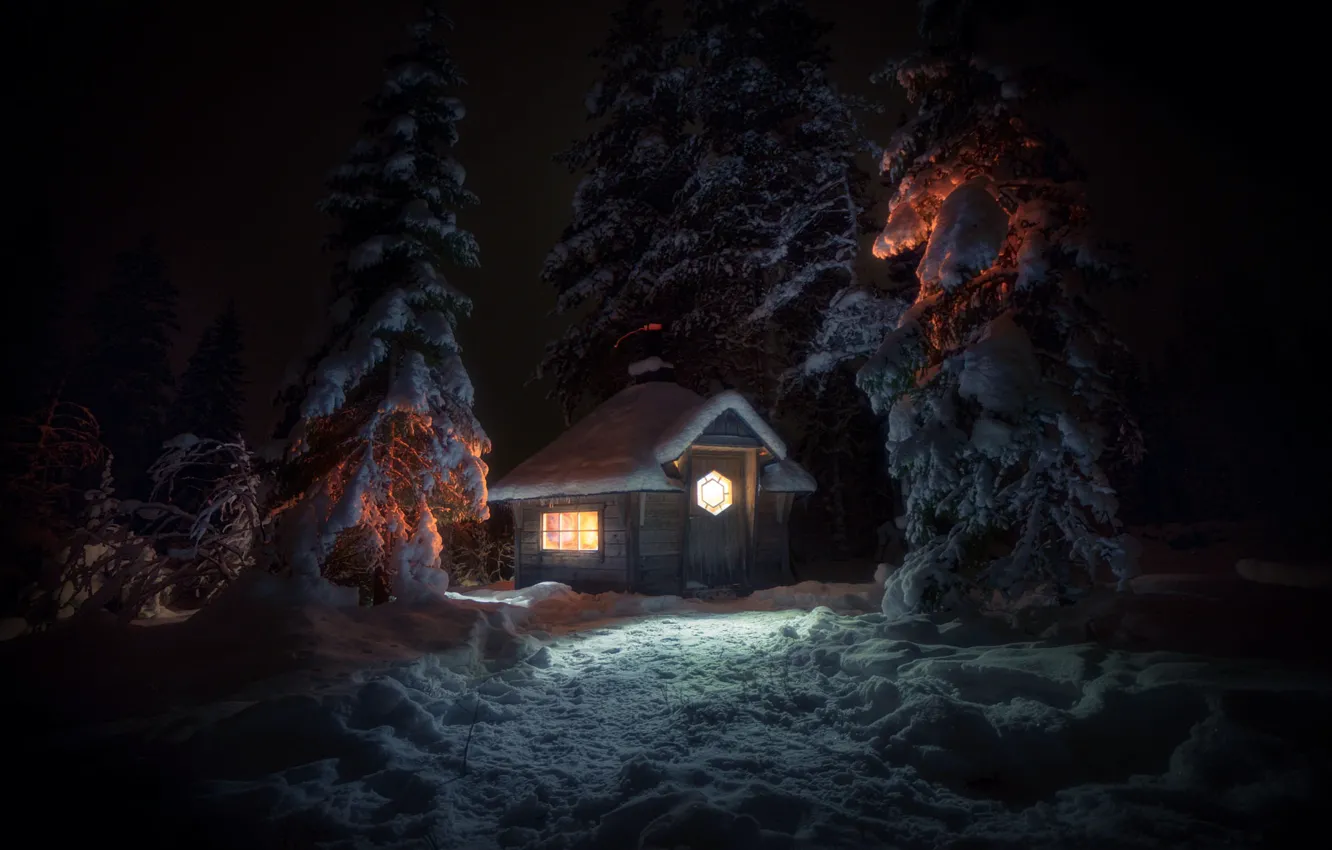 Photo wallpaper winter, forest, light, snow, trees, landscape, night, ate