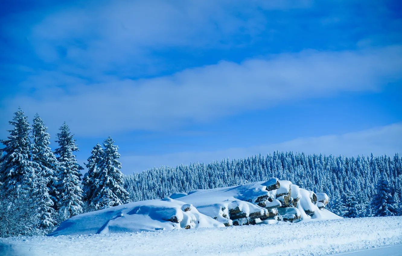 Photo wallpaper landscape, nature, wood, winter, snow, Serbia, Kopaonik