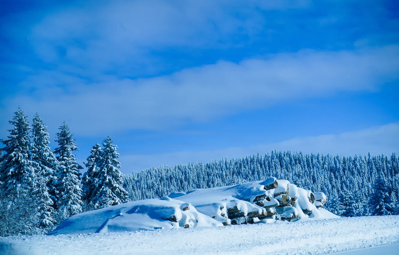 Photo wallpaper landscape, nature, wood, winter, snow, serbia, Kopaonik