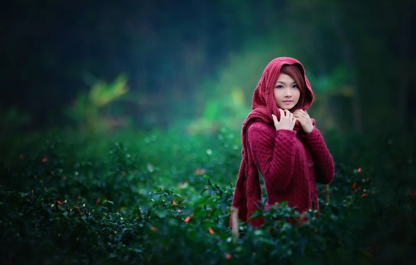 Photo wallpaper look, girl, mood, Asian