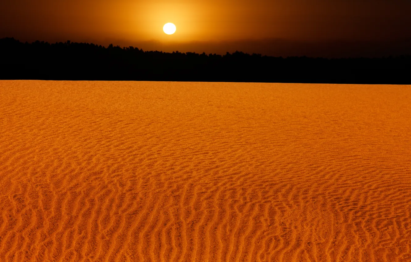 Photo wallpaper sand, the sun, sunset, dunes, Argentina, Argentina, Miramar, Miramar