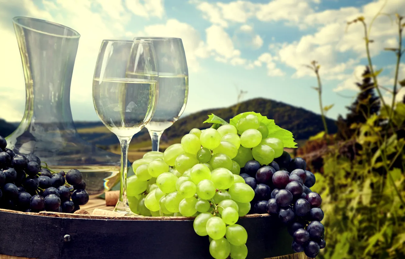 Photo wallpaper field, the sky, the sun, clouds, landscape, wine, hills, glass