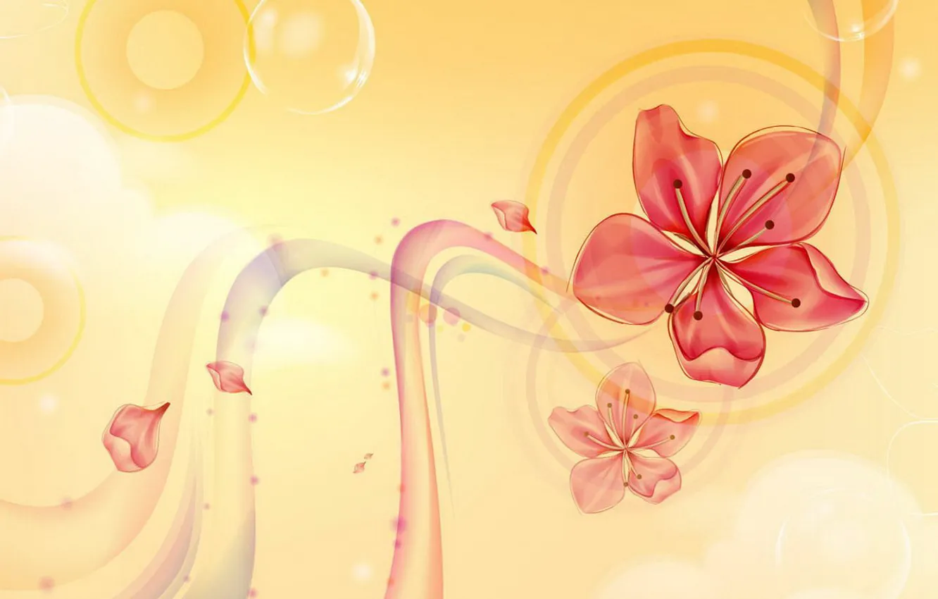 Photo wallpaper flowers, yellow, Lily, petals