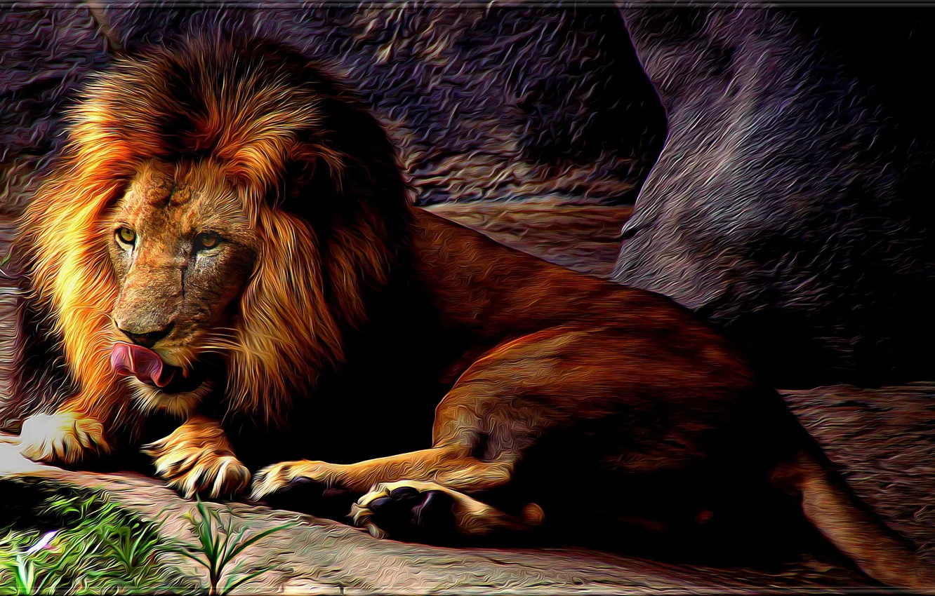 Photo wallpaper Leo, mane, wild cat